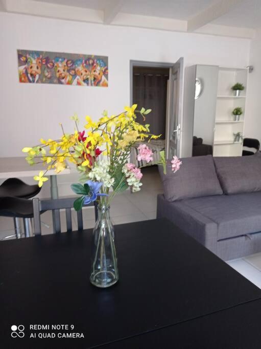 Appartement Au Coeur Du Village 사나리쉬르메르 외부 사진